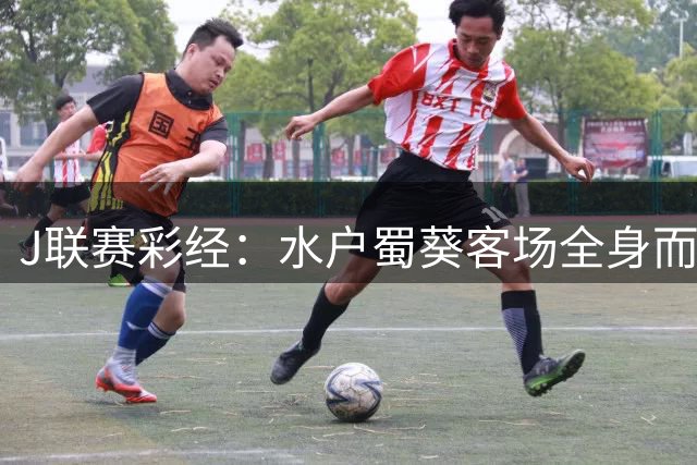 J联赛彩经：水户蜀葵客场全身而退